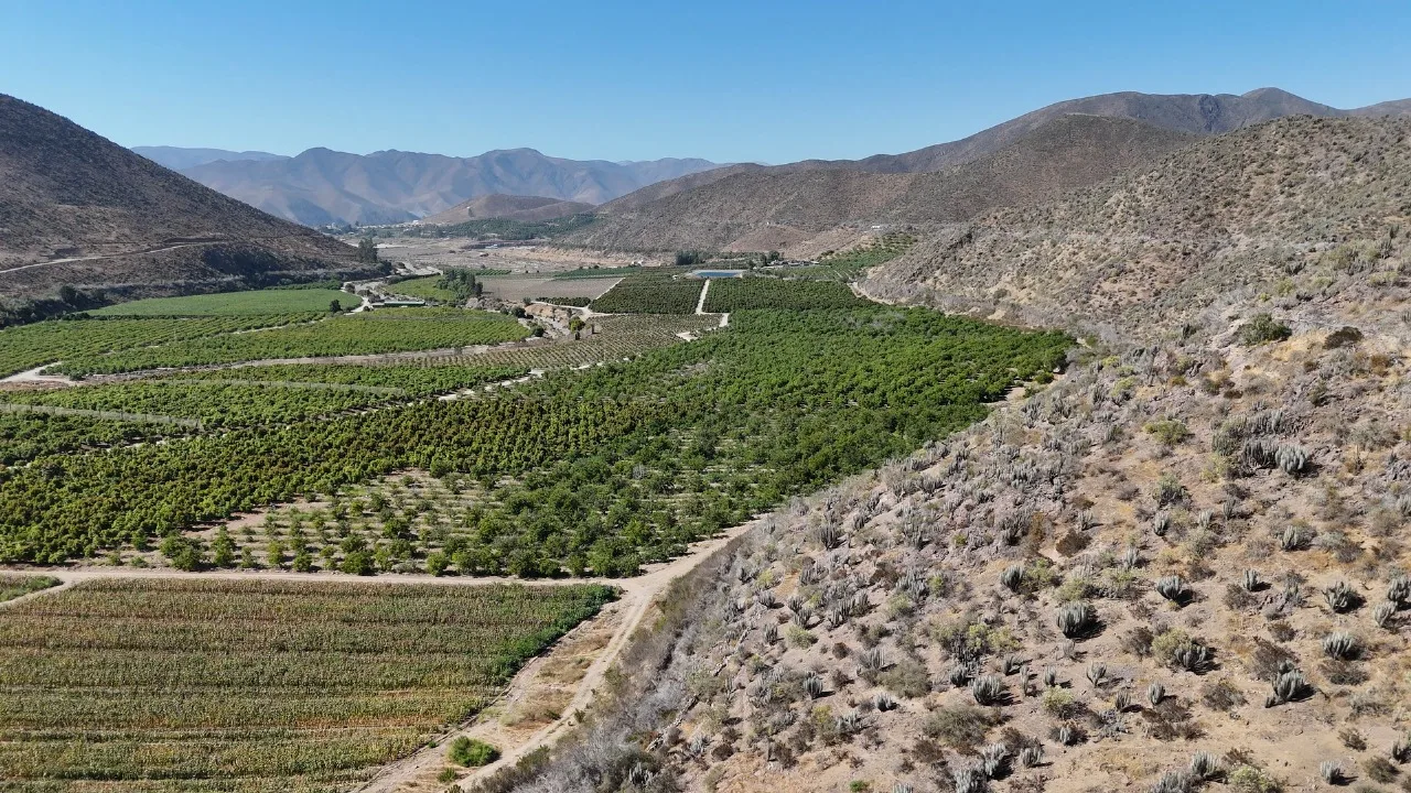 Fundo Valle del Elqui — La Serena