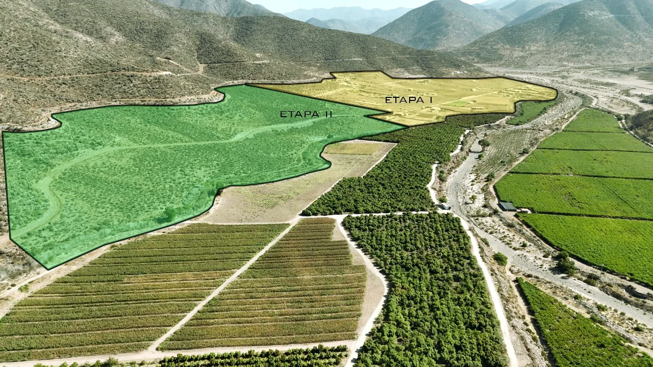Fundo Valle del Elqui — Paisaje
