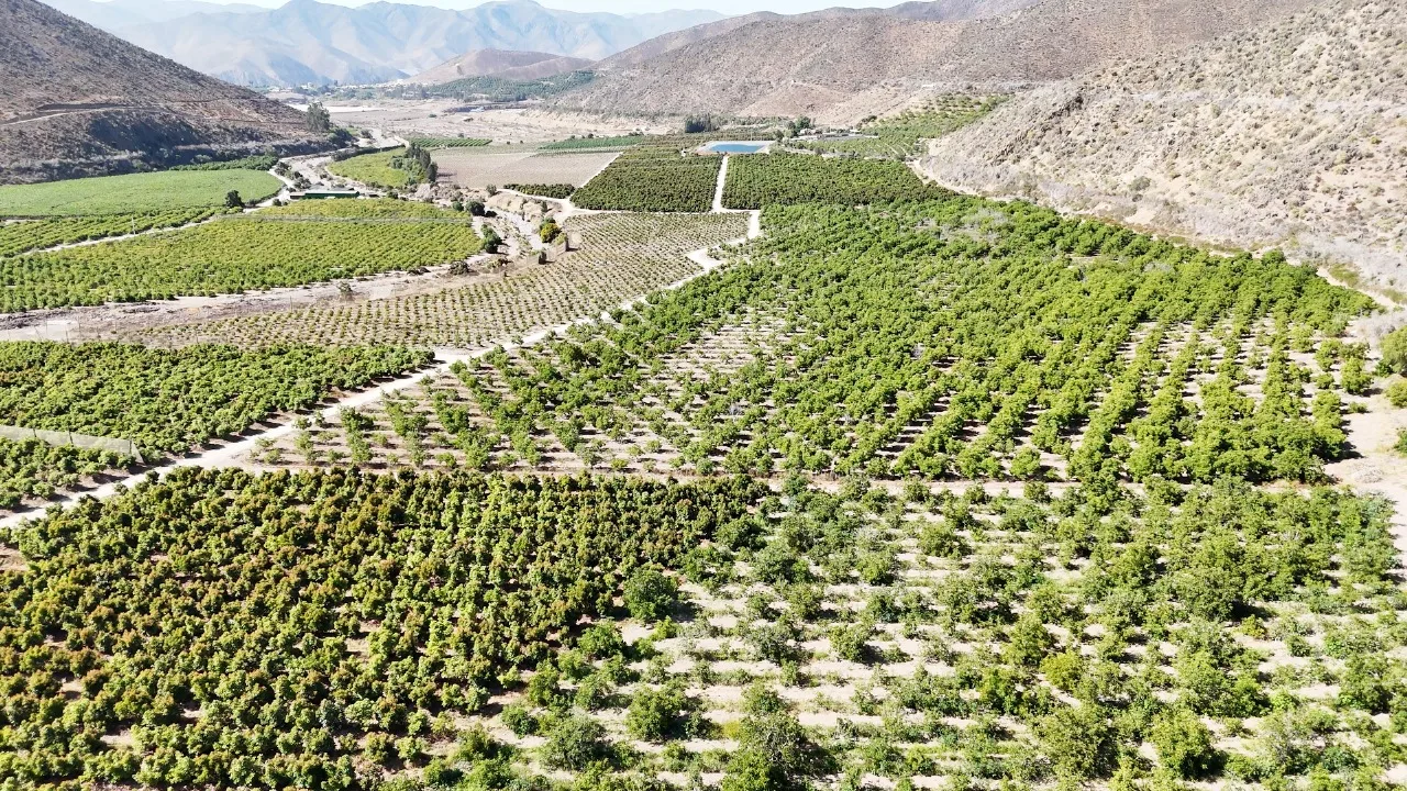 Fundo Valle del Elqui — Terrenos