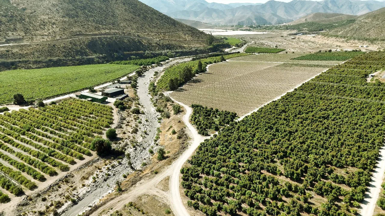 Fundo Valle del Elqui — Vista