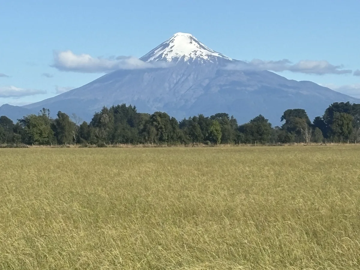 Fundo Puerto Octay — entorno natural