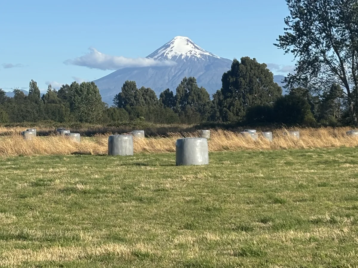 Fundo Puerto Octay — paisaje patagónico