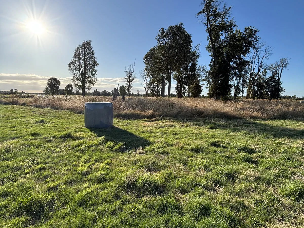 Fundo Puerto Octay — campo y entorno