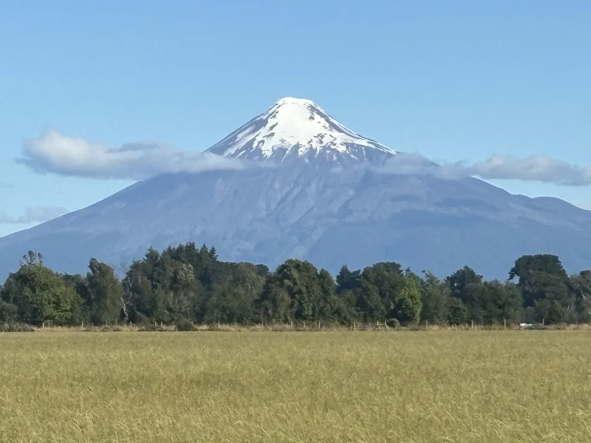 Fundo Puerto Octay — vista campo
