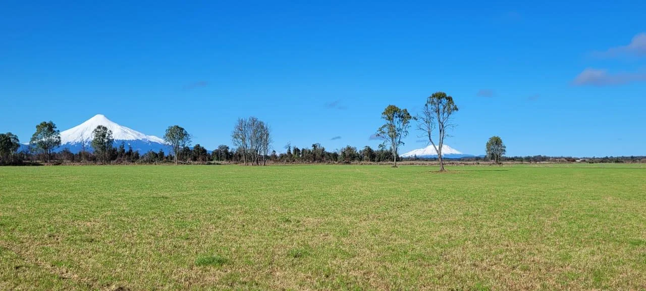 Fundo Puerto Octay — campo con volcanes
